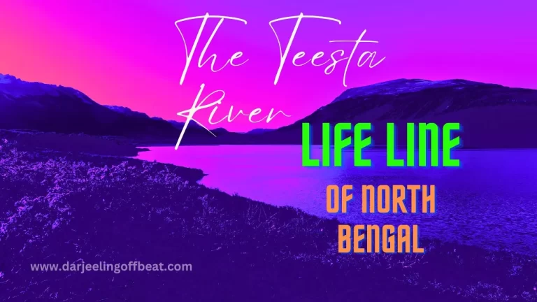 The Teesta River: Lifeline of north bengal