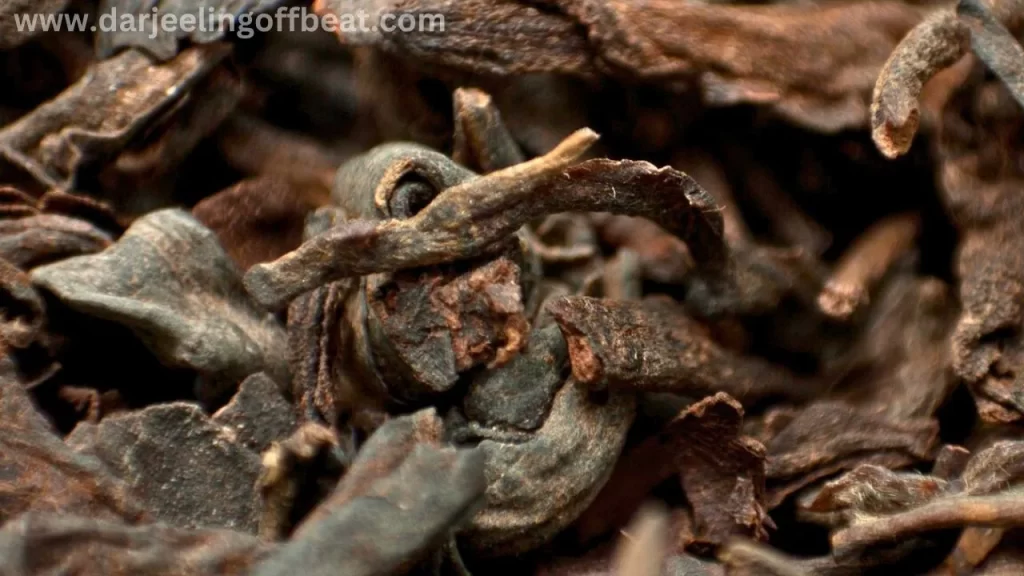 Processed darjeeling tea