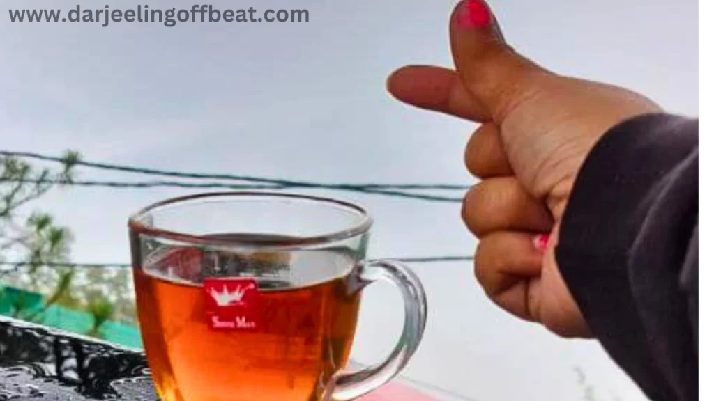 Tea tasting