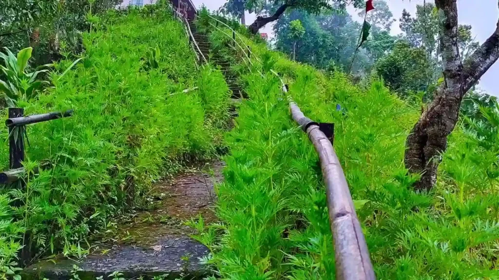Darjeeling Offbeat