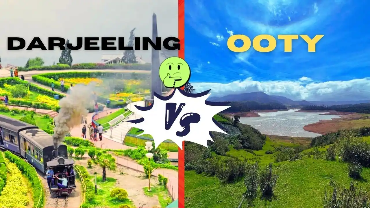 Darjeeling vs Ooty comparison