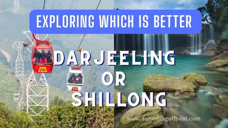 Darjeeling or Shillong