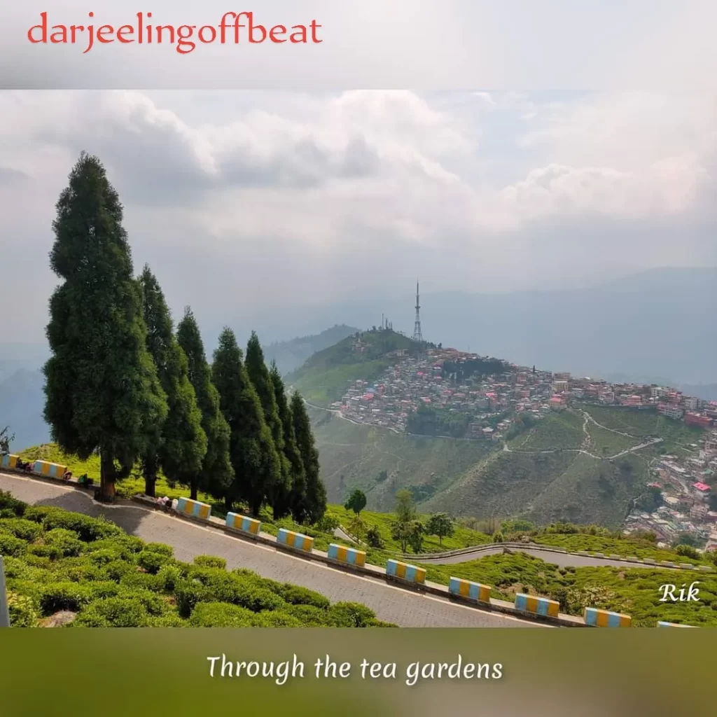 Kurseong, Darjeeling