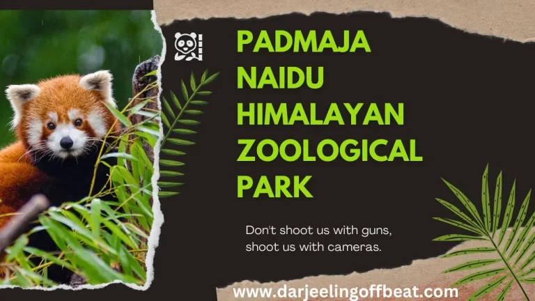 Padmaja Naidu Himalayan Zoological Park