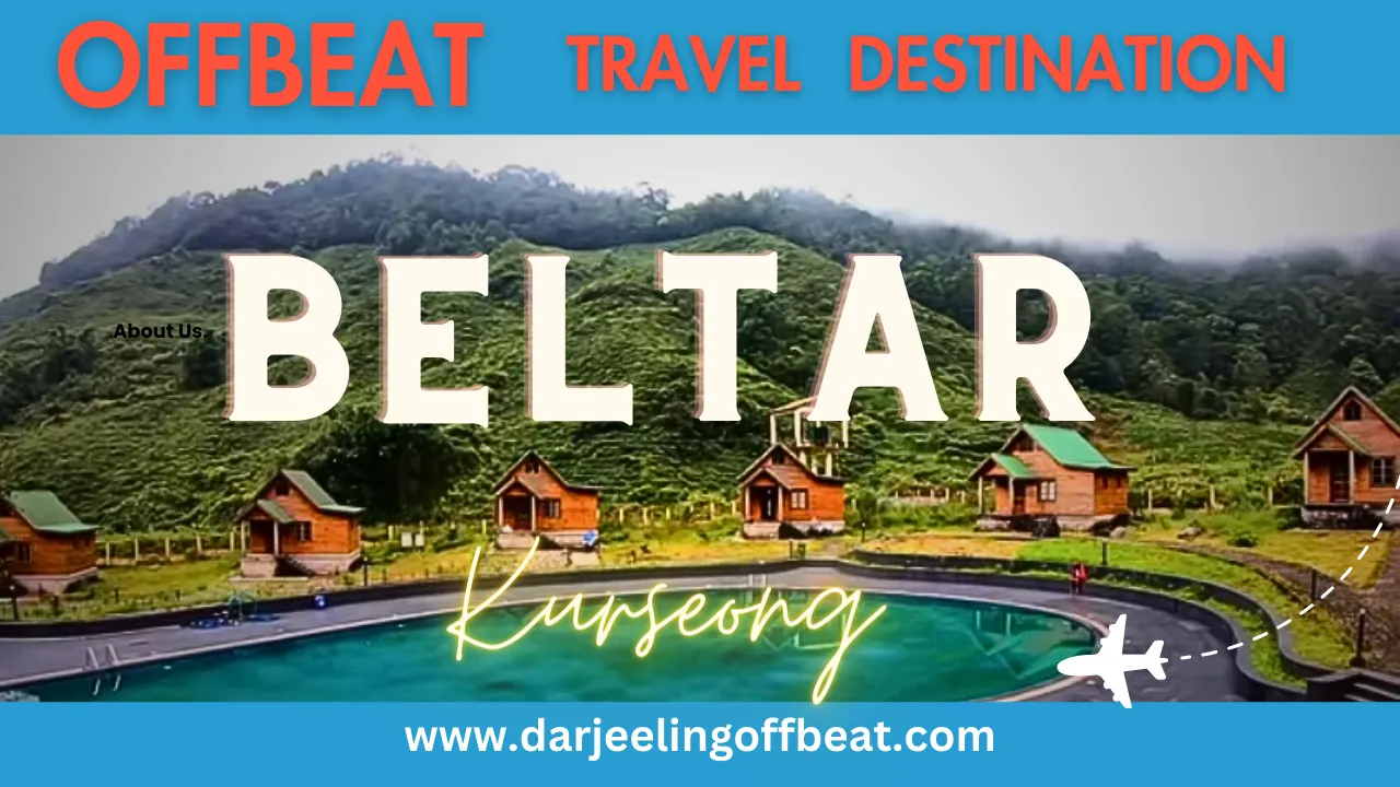 beltar kurseong featured image