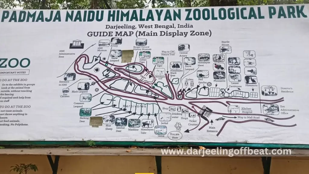 Padmaja Naidu Himalayan Zoological Park Map