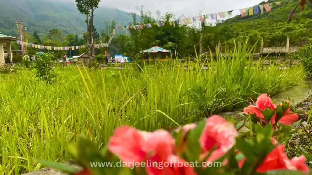 Beltar Resort View