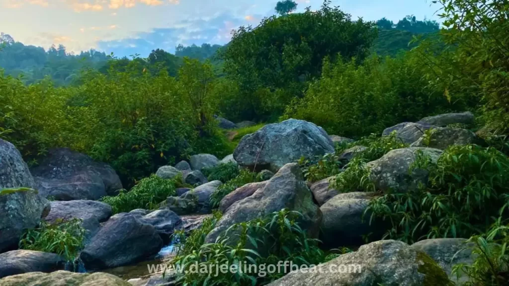Small River in Beltar