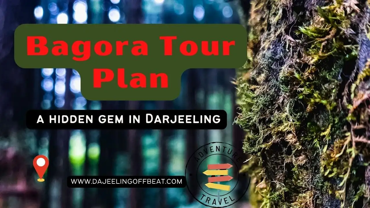 Nearest Tourist Spots of Bagora