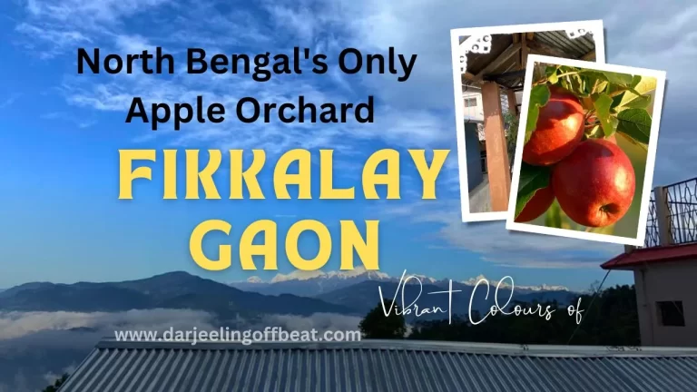Fikkalay Gaon Thumbnail