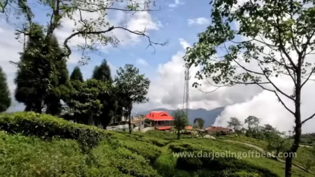 Mahaldiram