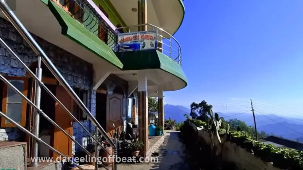 Hornbill Nest homestay