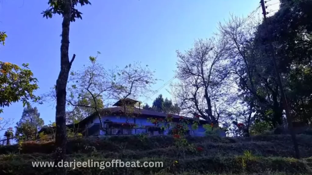Lath-kuthi-forest-bunglow