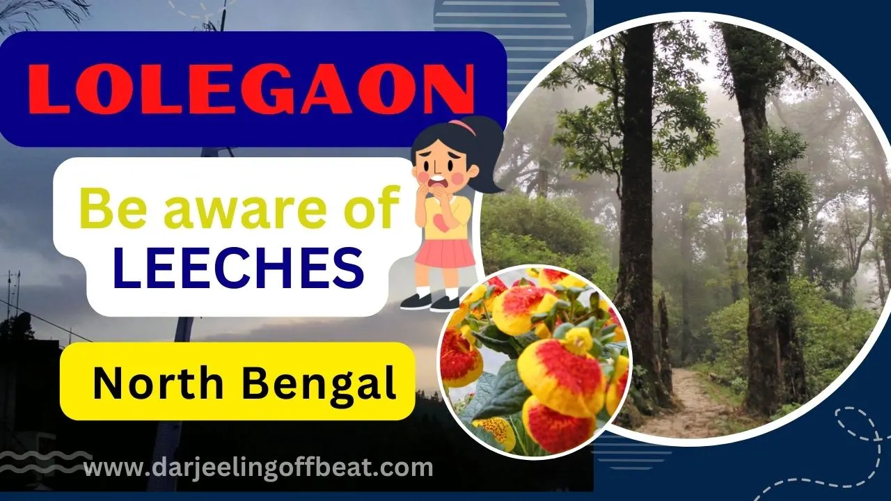 Lolegaon Thumbnail