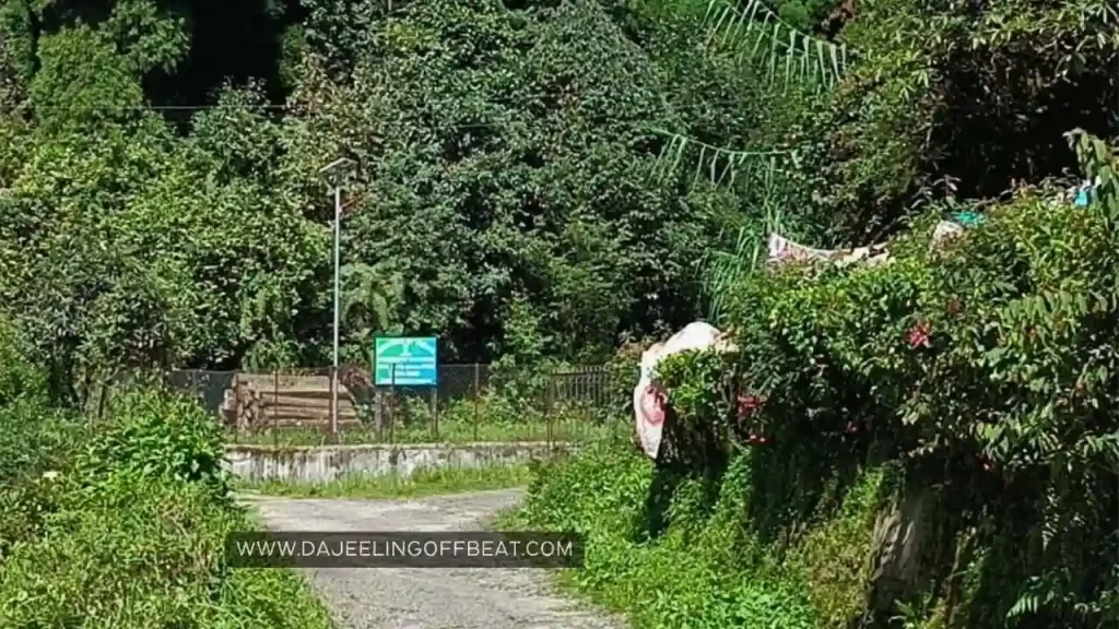 Roads in Bagora village