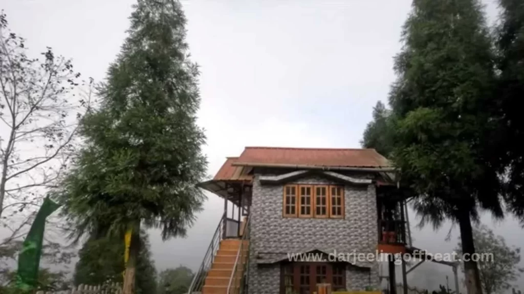 Salamander Jungle camp, Mahaldiram
