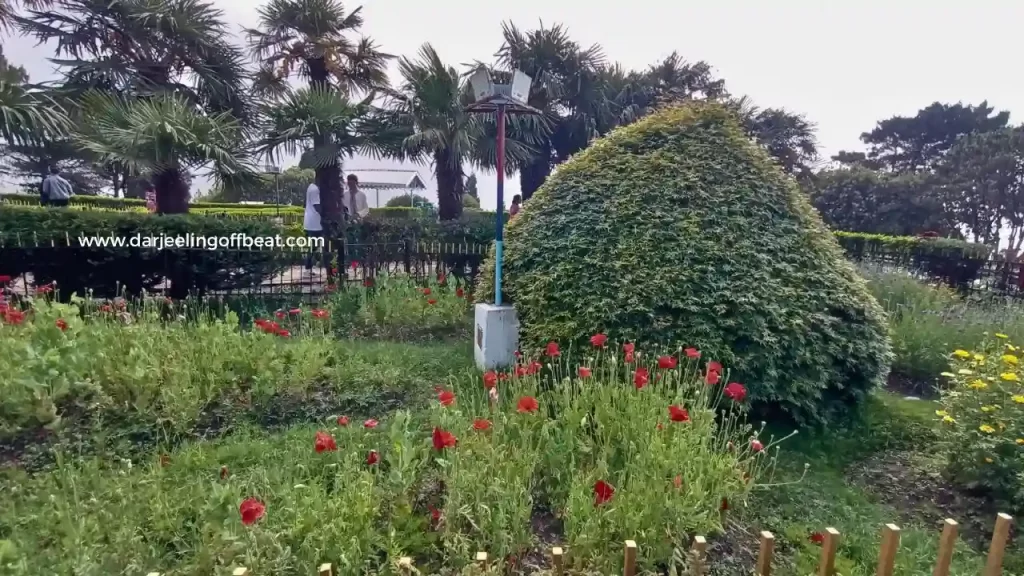 Batasia loop Garden