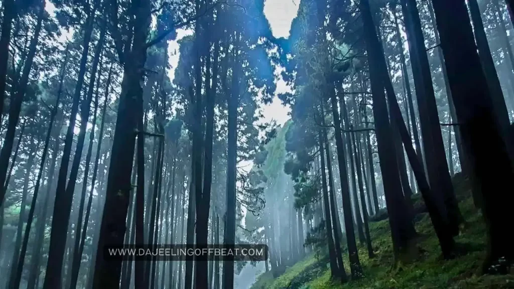 Way to Bagora Village