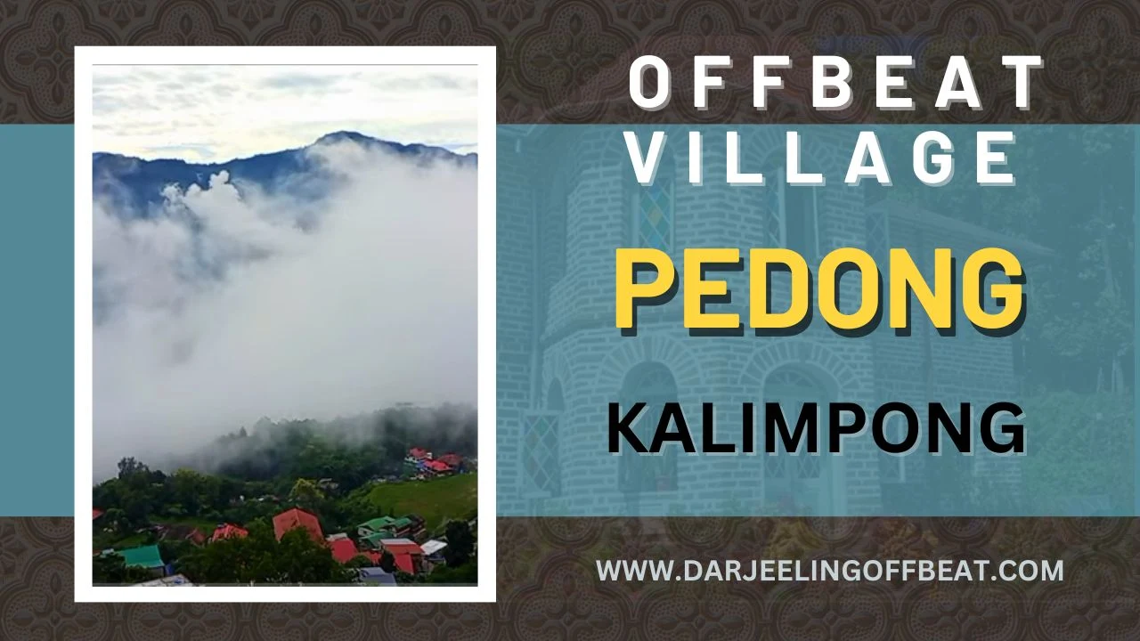 Pedong Offbeat