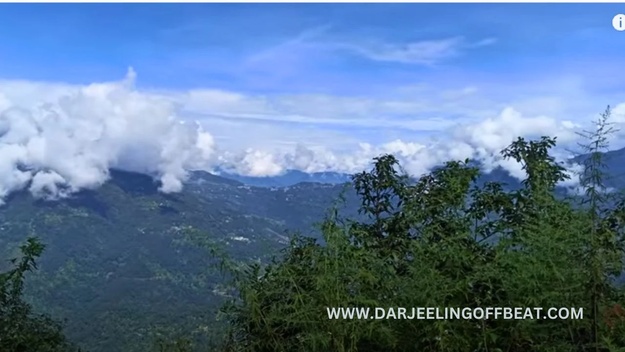 Pedong View