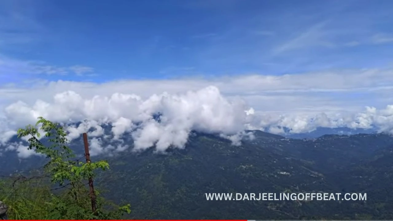 Pedong Views