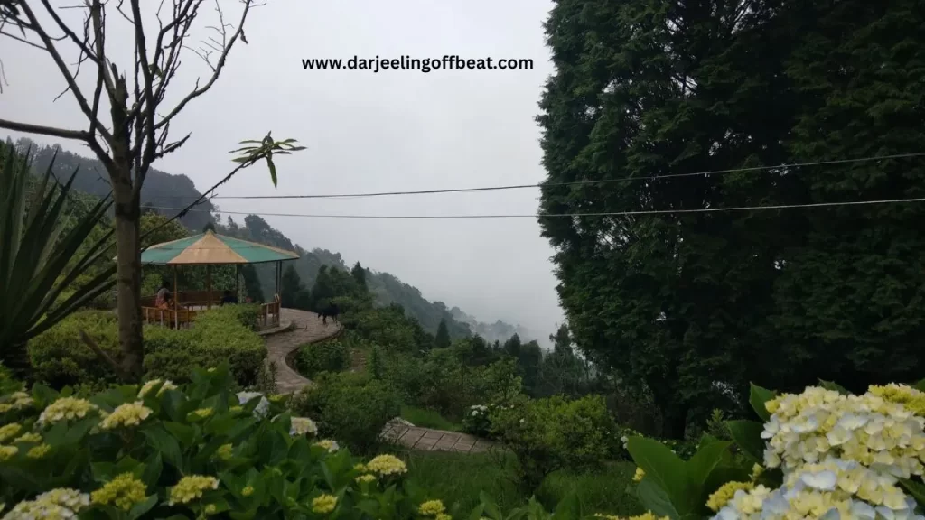 Roads through Delo