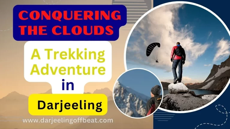 Trekking in darjeeling