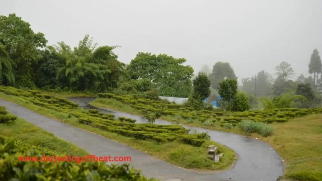 Roads in Jhandi