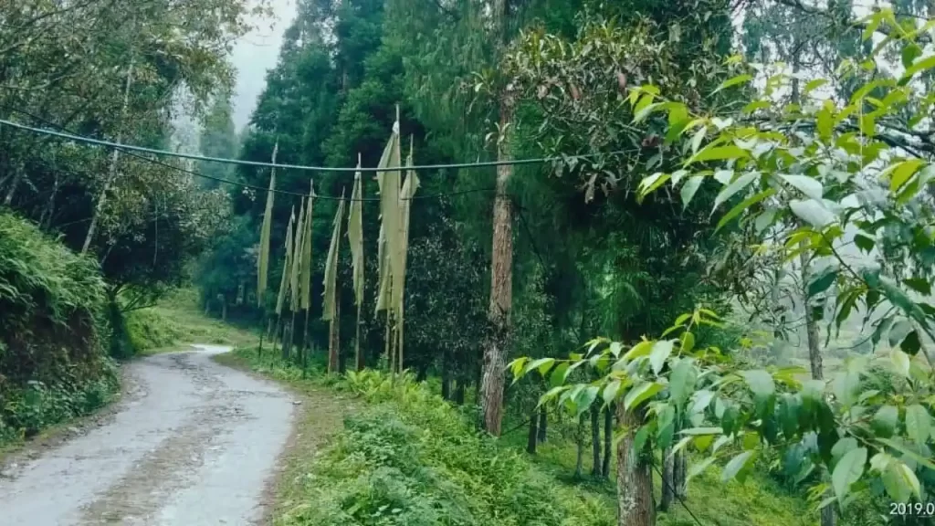 Way to Icche Gaon
