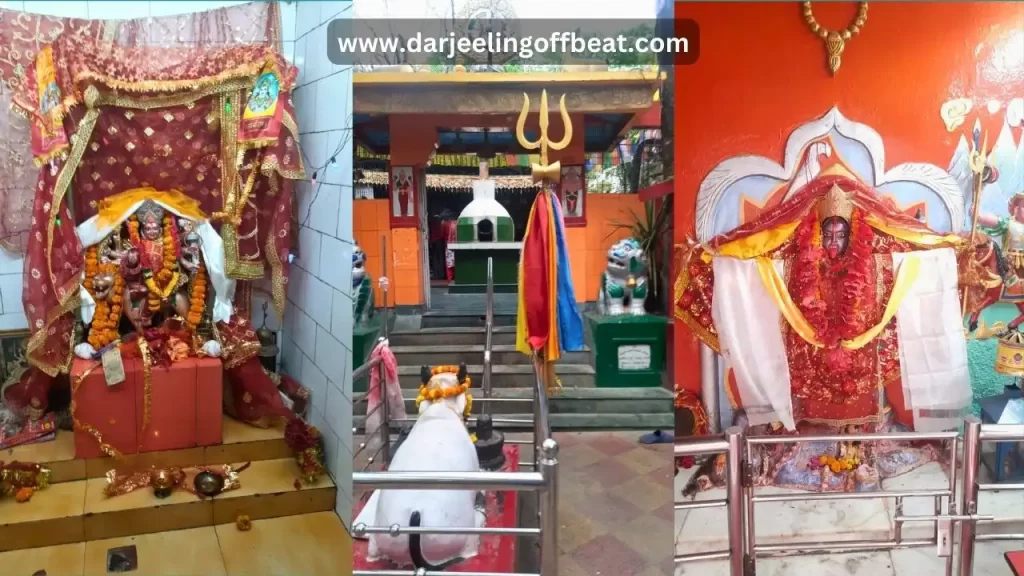 Different Idols at mahakaal Temple