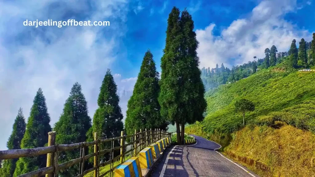 Kurseong view