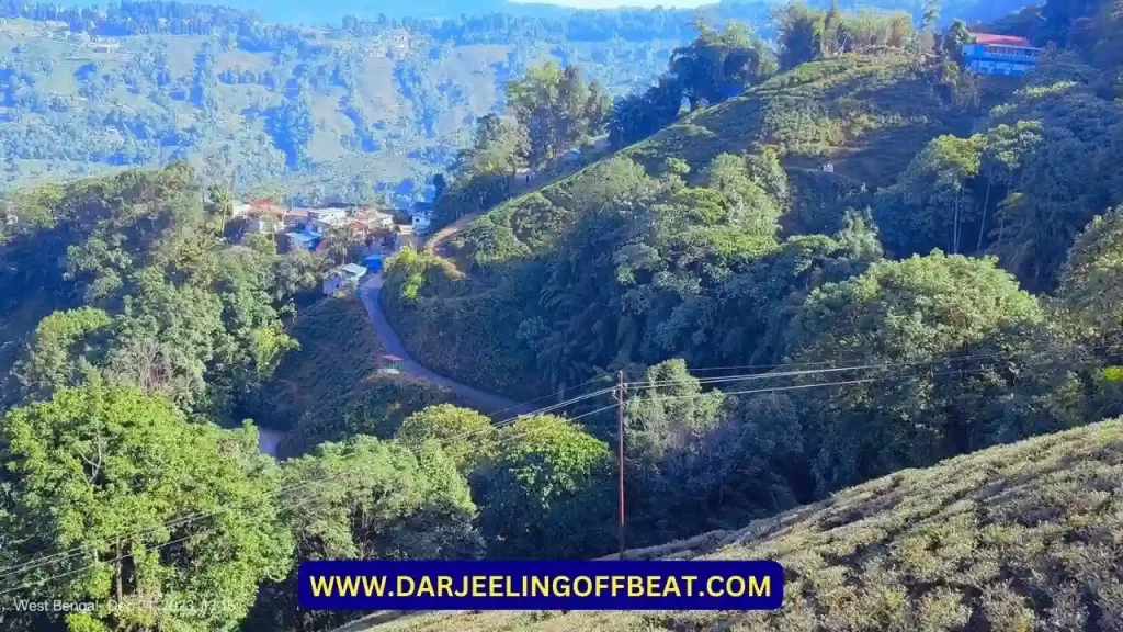 Ropeway Tea Garden view