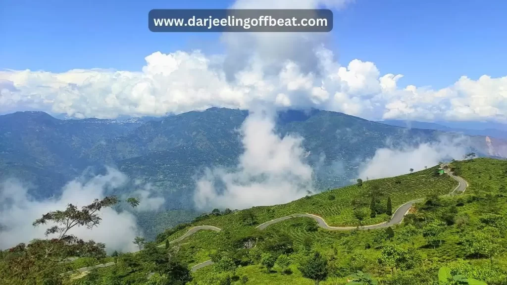Darjeeling in November