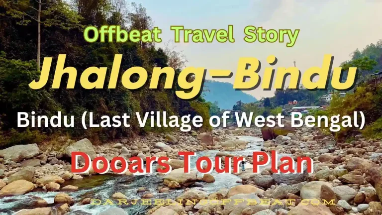 Bindu Thumbnail