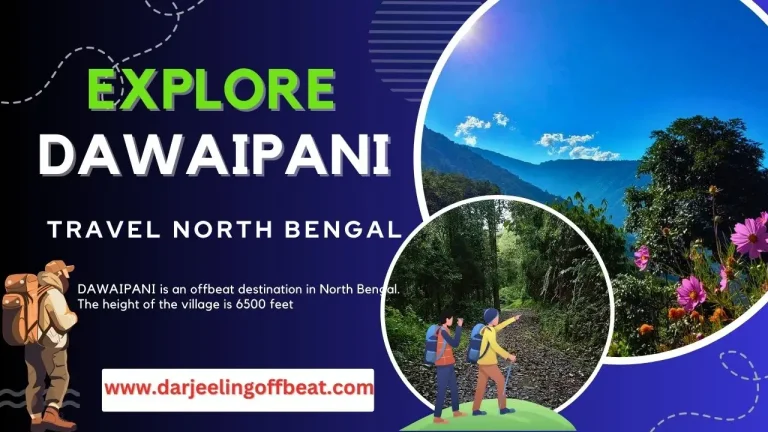 Dawaipani