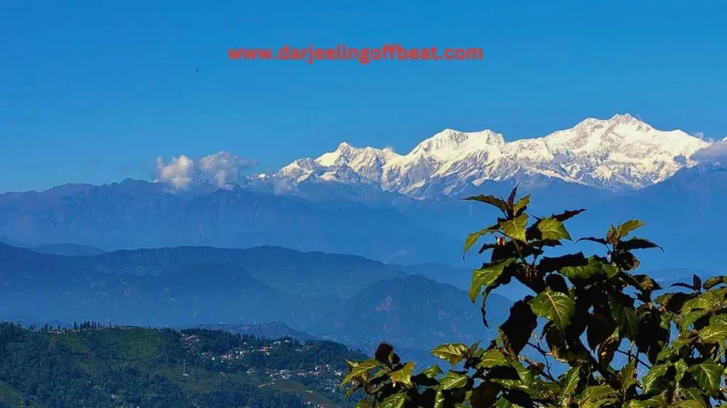 Sleeping Buddha From Dawai pani