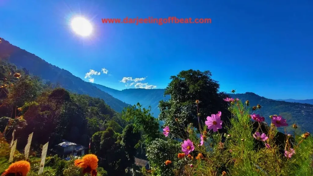 View from Dawai Pani Homestay