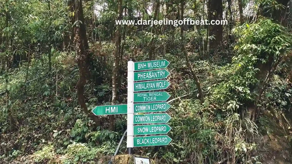 Way To HMI