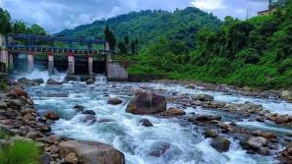 Bindu