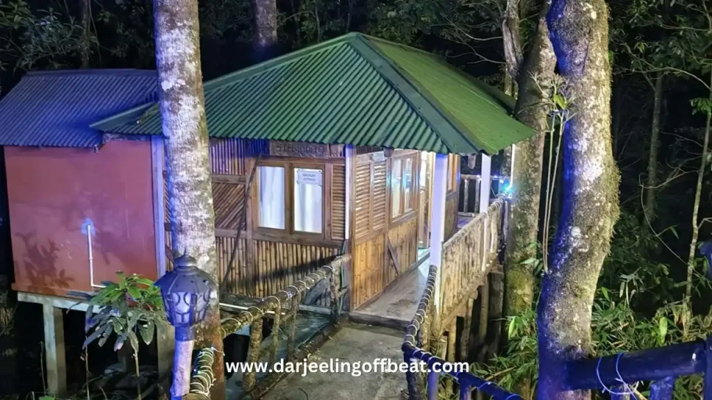 Majua Homestay at Night
