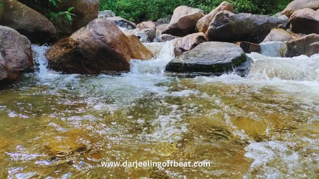 River Near Majua Homestay