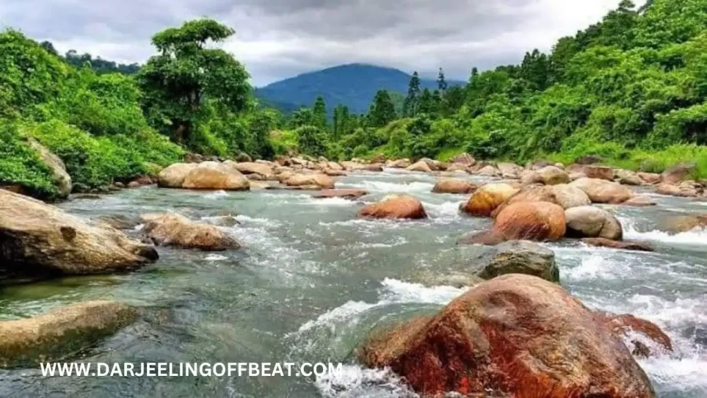 SAMSING