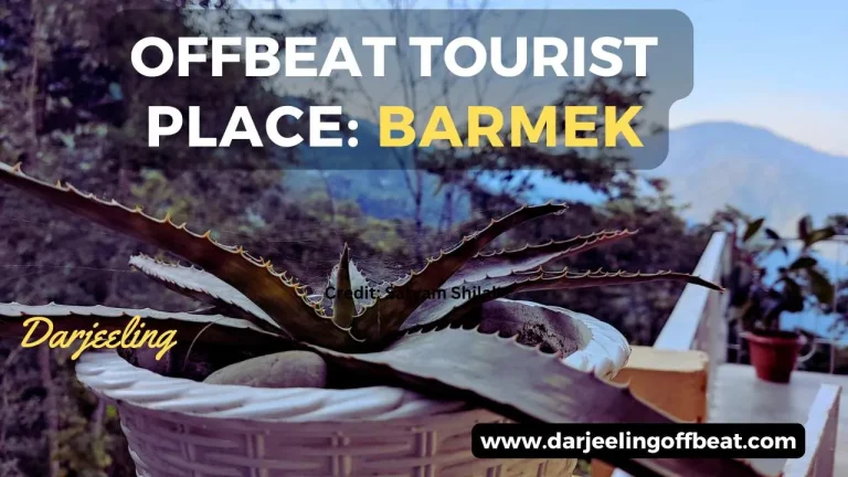BERMEK