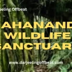Mahananda Wildlife Sanctuary