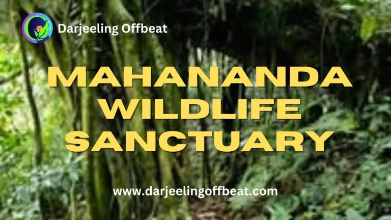 Mahananda Wildlife Sanctuary