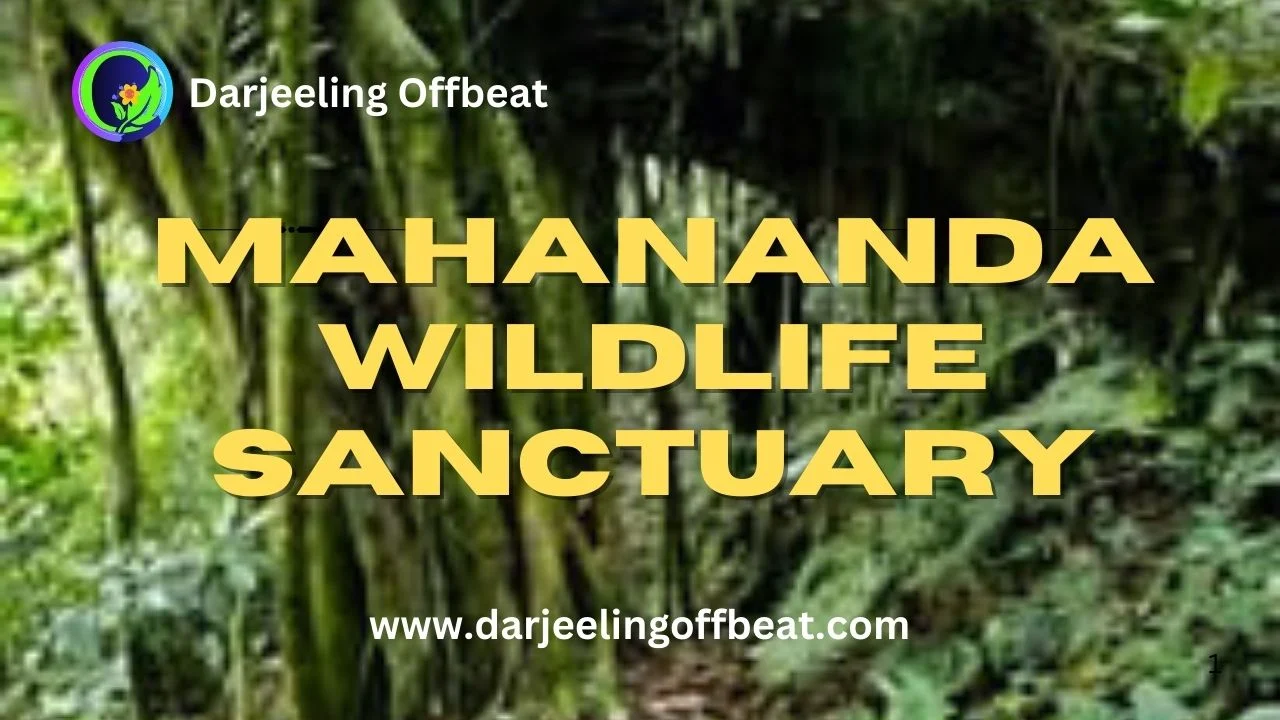 Mahananda Wildlife Sanctuary