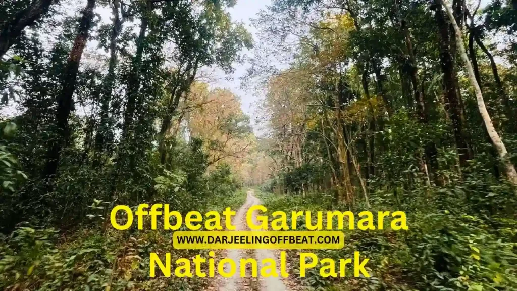 Garumara National Park