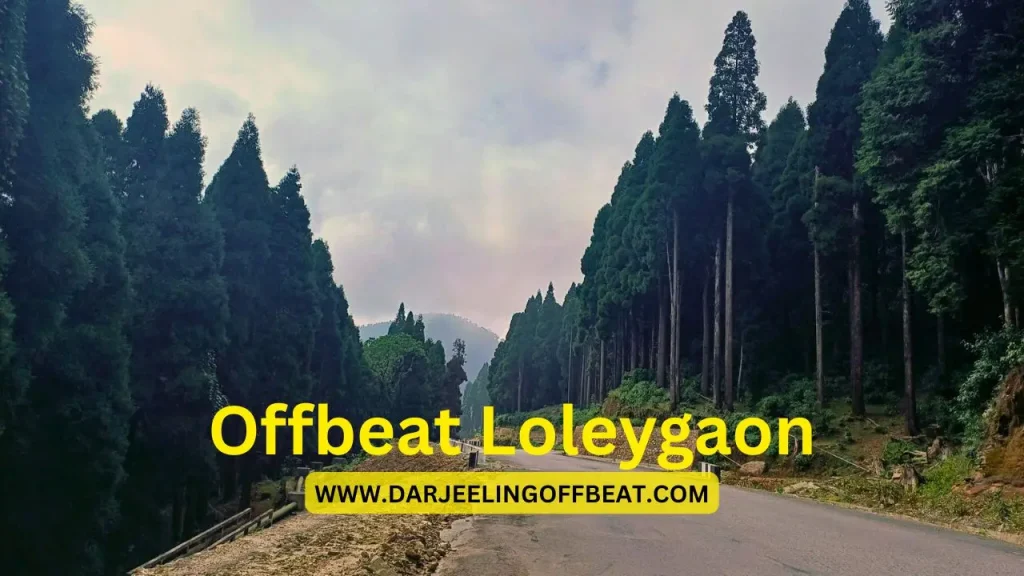 Loley Gaon