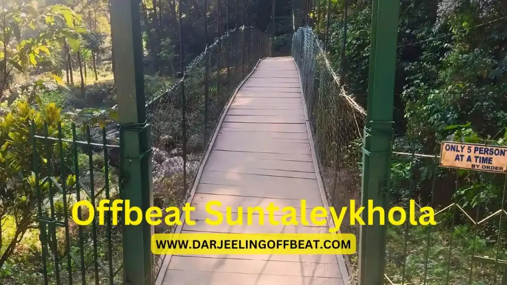 Suntaleykhola