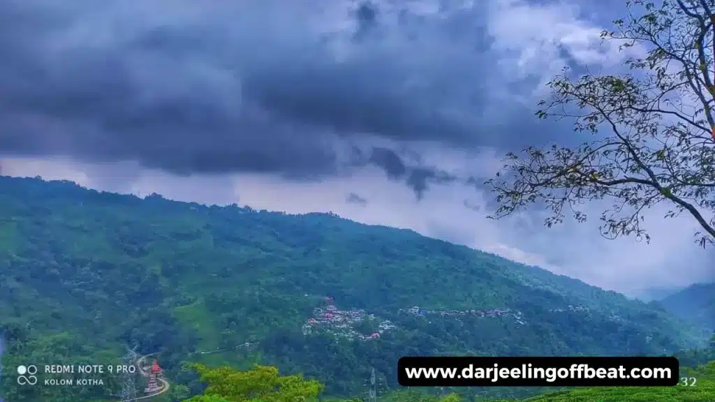 Tabakoshi View
